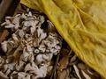Производство, действующий бизнес по выращиваю грибов, 1360 м², бағасы: 78 млн 〒 в Алматинской обл., Аккайнар — фото 36