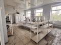 Свободное назначение · 5000 м² за 5 млн ₸ в Темиртау — фото 5