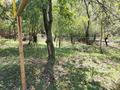 Отдельный дом • 3 комнаты • 40 м² • 15 сот., Спирзавод за 9.6 млн 〒 в Талгаре — фото 3