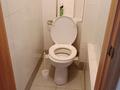 1-бөлмелі пәтер · 37 м² · 9/10 қабат, Бекхожина 15 — на Усолке, бағасы: 17 млн ₸ в Павлодаре — фото 15