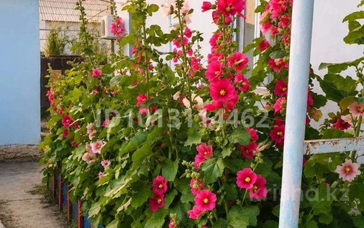 Отдельный дом · 4 комнаты · 120 м² · 9 сот., 8 Участок 133 за 22 млн ₸ в Кульсары — фото 2