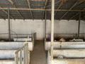 Отдельный дом · 4 комнаты · 60 м² · 10 сот., Посёлок Байкент ,Черёмушка линия 1 208 за 45 млн ₸ в Алматы — фото 25