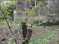 2-бөлмелі пәтер · 46 м² · 1/4 қабат, Тимирязева — Гагарина, бағасы: 29 млн ₸ в Алматы, Бостандыкский р-н — фото 4