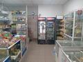 Дүкендер мен бутиктер · 30 м², бағасы: 270 000 ₸ в Астане, р-н Байконур
