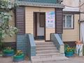 Продуктовый магазин «Стелла» · 48 м² за 15 млн ₸ в Аксу