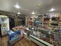 Продуктовый магазин «Стелла» · 48 м² за 15 млн ₸ в Аксу — фото 3