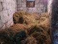 Жеке үй · 4 бөлме · 159.3 м² · 10 жүзд., Жібек Жолы 11б, бағасы: 75 млн ₸ в Бирлик — фото 20