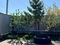 Отдельный дом · 7 комнат · 160 м² · 5 сот., 40 лет победы за 26 млн 〒 в Шахтинске — фото 5