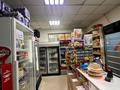 Магазины и бутики · 141 м² за 300 млн 〒 в Алматы, Наурызбайский р-н — фото 3