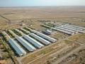 Свинокомплекс, 50000 м² за 5 млрд 〒 в Талгаре — фото 5