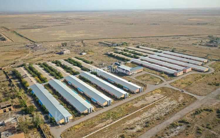 Свинокомплекс, 50000 м² за 4.5 млрд 〒 в Талгаре — фото 10