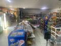 Магазины и бутики • 300 м² за ~ 55.8 млн 〒 в Талдыкоргане, 9-й микрорайон — фото 2
