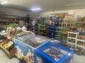 Магазины и бутики • 300 м² за ~ 55.8 млн 〒 в Талдыкоргане, 9-й микрорайон — фото 6