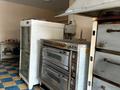 Отдельный дом · 4 комнаты · 200 м² · 4 сот., 8-й микрорайон, Калинина 23 — Павлова за 75 млн ₸ в Шымкенте, Туран р-н — фото 6