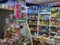 Действующий продуктовый магазин · 52 м² за 30 млн ₸ в Петропавловске — фото 3