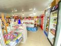 Жеке үй · 4 бөлме · 300 м² · 10 жүзд., Жұмыскер ш/а., 44 улица 8, бағасы: 40 млн ₸ в Атырау, мкр Жумыскер — фото 15