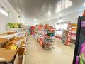 Жеке үй · 4 бөлме · 300 м² · 10 жүзд., Жұмыскер ш/а., 44 улица 8, бағасы: 40 млн ₸ в Атырау, мкр Жумыскер — фото 17