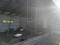 Отдельный дом · 10 комнат · 850 м² · 33 сот., Шилдебаева — Побережье Таласа за 94.5 млн ₸ в  — фото 10