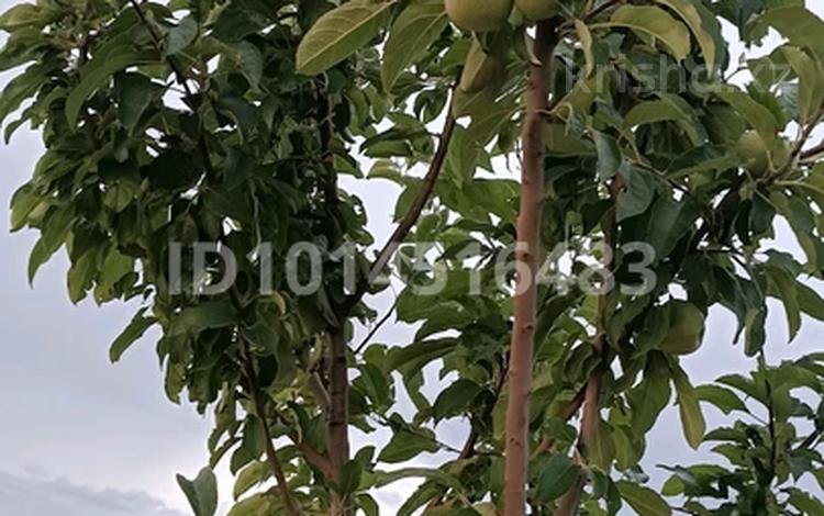 Жеке үй · 4 бөлме · 100 м² · 70 жүзд., квартал Жулдыз, Квартал текесу 8А, бағасы: 18 млн ₸ в Шымкенте, Енбекшинский р-н — фото 2