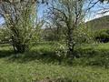 Участок · 10 соток, мкр Акжар за 50 млн ₸ в Алматы, Наурызбайский р-н — фото 4