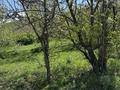 Участок · 10 соток, мкр Акжар за 50 млн ₸ в Алматы, Наурызбайский р-н — фото 5