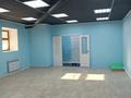 Еркін · 120 м², бағасы: 300 000 ₸ в Астане, Алматы р-н