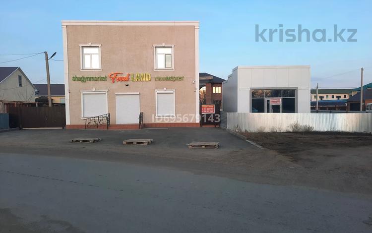 Кеңселер, дүкендер мен бутиктер · 278 м², бағасы: 65 млн ₸ в Мичуринское — фото 4