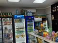 Дүкендер мен бутиктер · 69 м², бағасы: 35 млн ₸ в Павлодаре — фото 12