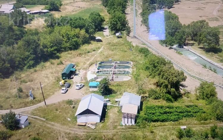 Промбаза · 10 соток, Вдоль реки Каратал 1 за 500 000 ₸ в Талдыкоргане — фото 2
