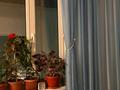 2-комнатная квартира · 60 м² · 25/25 этаж, Петрова 10 — Тауелсиздик/Момышұлы за 250 000 ₸ в Астане, Алматы р-н — фото 3