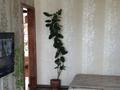 3-бөлмелі пәтер · 60 м² · 5/5 қабат, Пр. Абая 89 — Дом Детский мир, бағасы: 12.5 млн ₸ в Шахтинске — фото 5