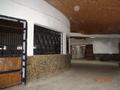 Развлечения · 5826 м² за ~ 969.8 млн ₸ в Конаеве — фото 22