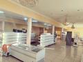 Магазины и бутики • 1300 м² за 1.3 млн 〒 в Маятасе — фото 3