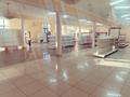 Магазины и бутики • 1300 м² за 1.3 млн 〒 в Маятасе — фото 6