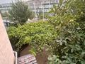 Часть дома · 6 комнат · 150 м² · 80 сот., Шұғыла 37 — 9 за 38 млн ₸ в Жанаозен — фото 51