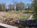 Участок · 8 соток, Макатаева 180 — Алтын гасыр за 12 млн ₸ в Узынагаш — фото 6