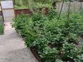 Жеке үй · 3 бөлме · 80 м² · 6 жүзд., Стадионная 19 — Городской стадион Металлург, бағасы: 14 млн ₸ в Текели — фото 13