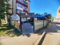 Общепит, образование, развлечения · 225 м² за 29.5 млн ₸ в Кокшетау — фото 26