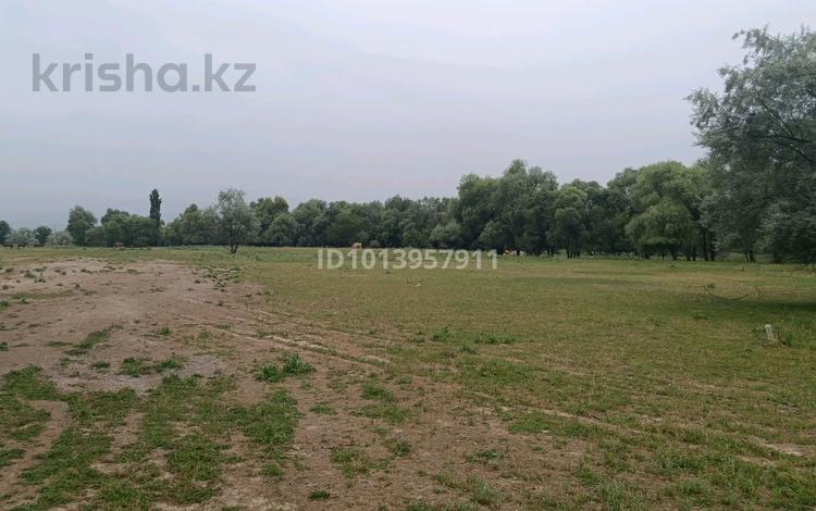 Жер телімі · 5 сотық, Кемертоған, бағасы: 5 млн ₸ в Кемертогане — фото 2