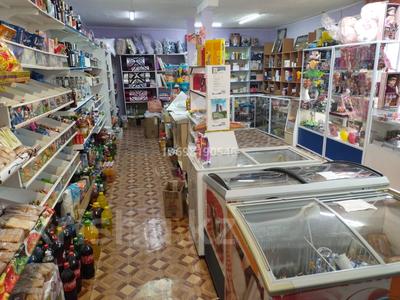 Действующий бизнес 3в1 · 200 м², бағасы: 25 млн ₸ в Кобетей