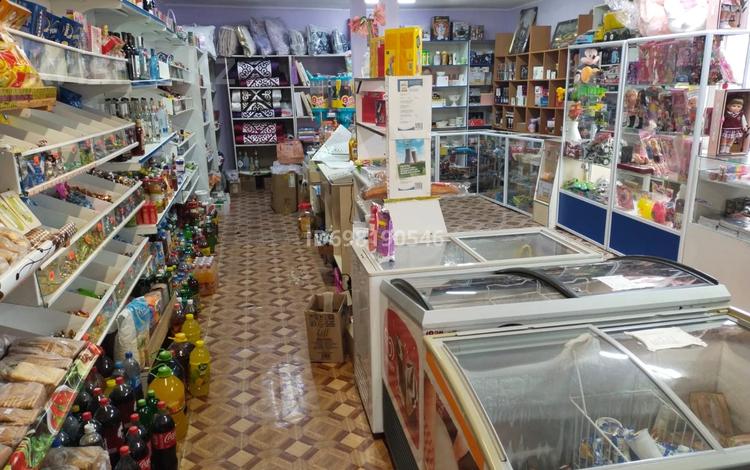 Действующий бизнес 3в1 · 200 м², бағасы: 25 млн ₸ в Кобетей — фото 7