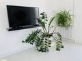 2-бөлмелі пәтер · 65 м² · 9/12 қабат, Самал-1 ш/а. — Напротив Достык Плаза и Американского Посольства, бағасы: 700 000 ₸ в Алматы, Медеуский р-н — фото 32