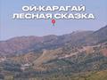 Участок · 210 соток, Табаган за 85 млн ₸ в  — фото 12