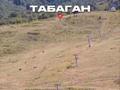 Участок · 210 соток, Табаган за 85 млн ₸ в  — фото 13