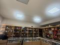 Еркін · 1500 м², бағасы: 250 млн ₸ в Уральске, мкр Айгуль — фото 16