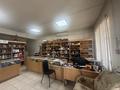 Еркін · 1500 м², бағасы: 250 млн ₸ в Уральске, мкр Айгуль — фото 18