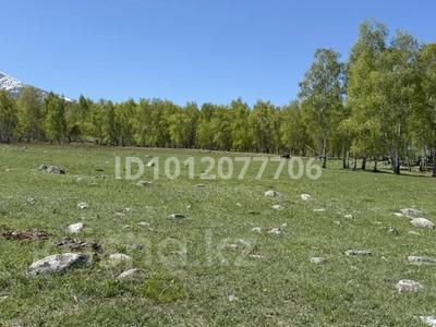 Участок · 3 га, Катон-Карагай за 180 млн ₸