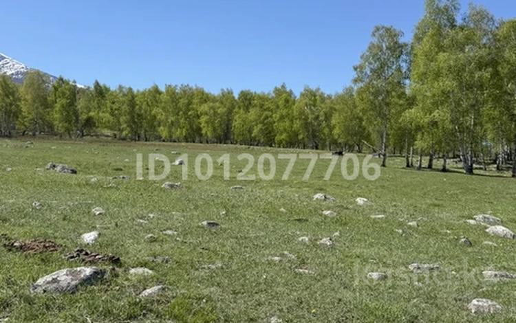 Участок · 3 га, Катон-Карагай за 180 млн 〒 — фото 2