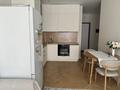1-комнатная квартира · 43 м² · 17 этаж, Акмешит 1 за 60 млн ₸ в Астане, Есильский р-н