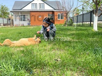 Дача · 5 комнат · 170 м² · 9 сот., Железнодорожная 92 — Возле трассы за 60 млн 〒 в Уральске